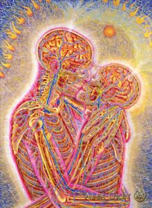 The image shows two people kissing. Their skinless bodies allow us to see their brains, bones, and blood vessels. Golden flames surround the couple.