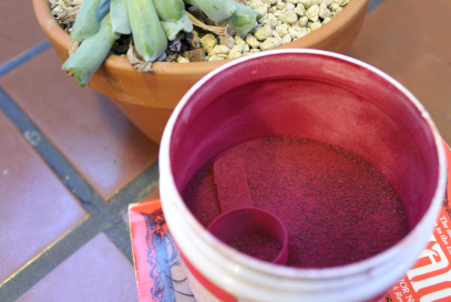 Another photo of a succulent plant, a paperback novel by Ursula K. Le Guin, and a Koyah tub of beet root powder open for inspection from above