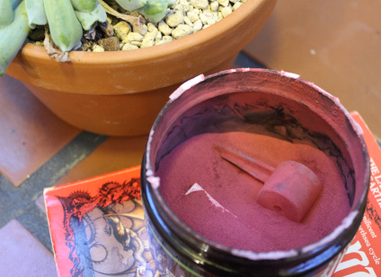 The photo shows a succulent plant in a container, and then an open beet root powder tub atop an Ursula K. Le Guin paperback novel