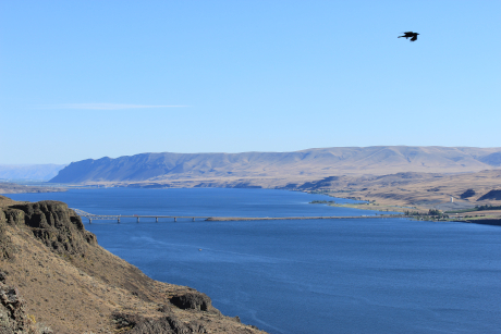 The colorful photo shows the Columbia River with a boat in it and a bridge across it. Hills on each side with a bird soaring overhead.