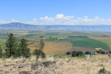 A colorful photo. It's taken from atop a hill with yellow grass and rocks. Below the hill is the vast Grande Ronde valley, with different colored rectangles of agriculture. In the distance, the blue mountains, and above, blue sky plus clouds.