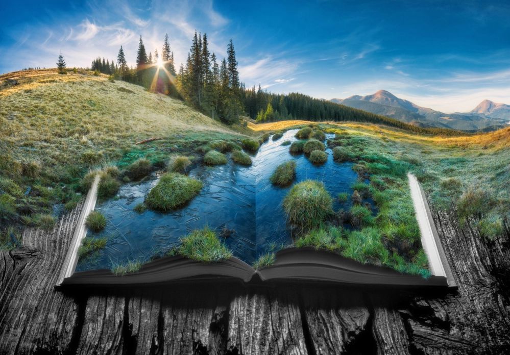 The colorful image is a fantasy/surreal computer-generated drawing of a beautiful landscape. Part of the grass and hillside is a book, open to the middle. Upon the watery pages grow bushes.