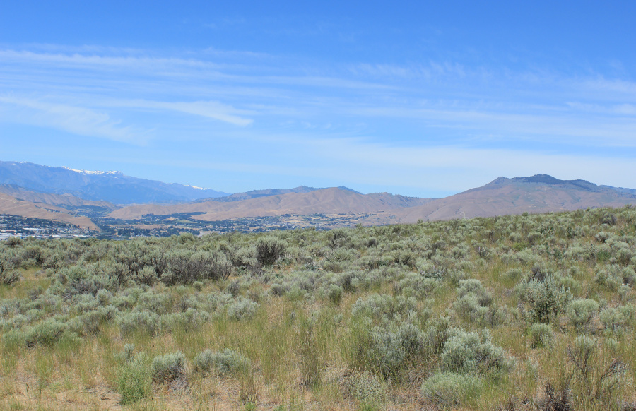 Color photo shows amazing sagebrush beneath an idyllic blue sky, mountains and hills in the distance.