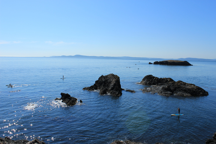 The idyllic color photo shows mostly ocean water below cloudless blue sky, but there are several rocks jutting up from the water. In the distance are hills. Part of the water is sparkling from sun; it looks magical. There are also a few standing kayakers paddling their way through the water.