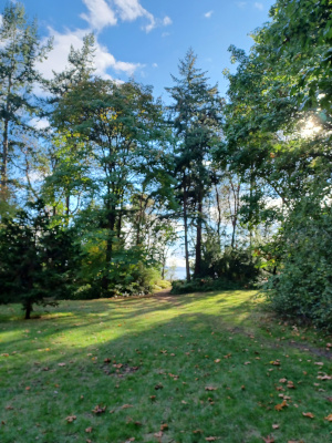 Meadow, trees, blue sky with clouds, and in the far distance, sea and sun