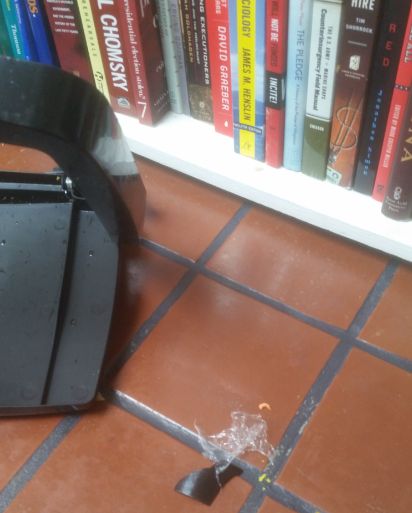 Photo showing broken trash can lid in front of bookcase in my kitchen